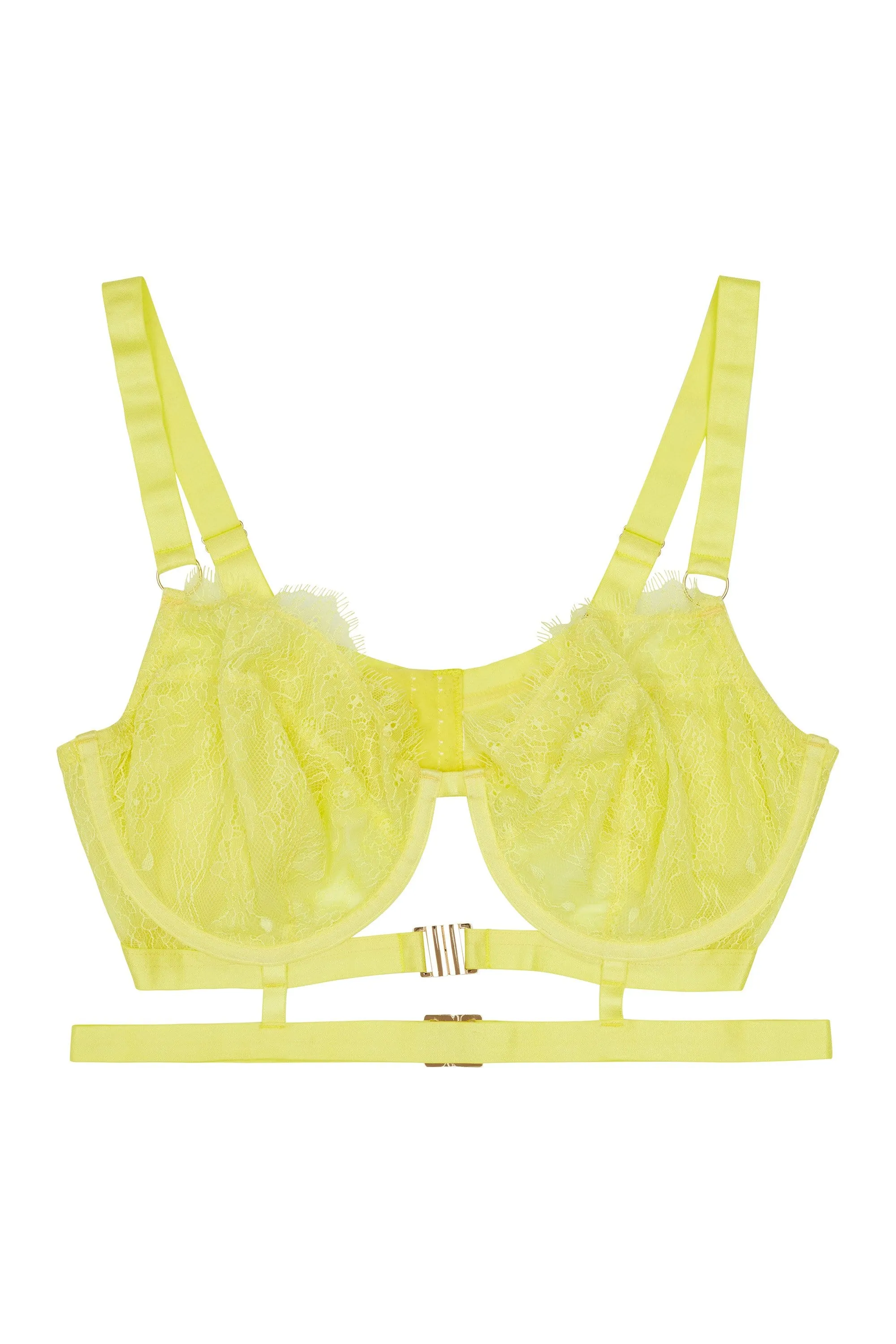 Gabi Fresh Devon Lime Lace bra