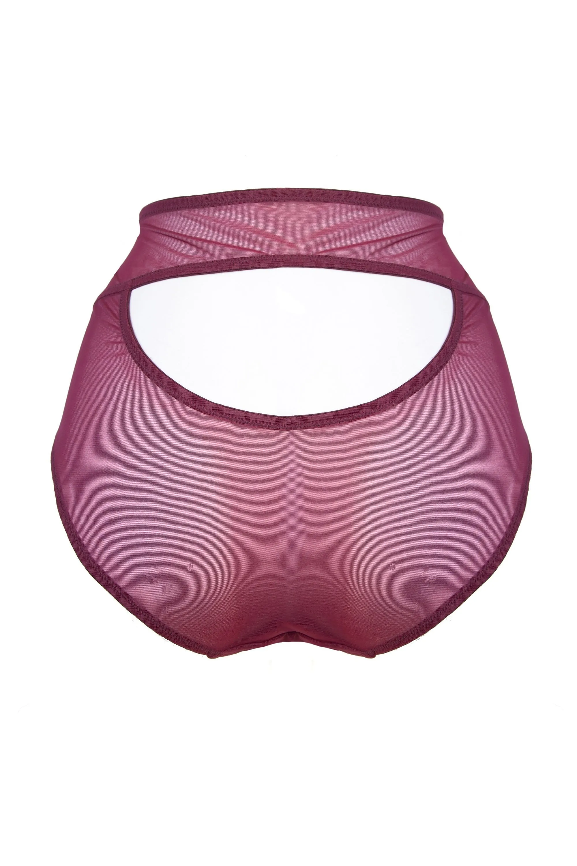 Juliet Wine High Waist Brief Curve