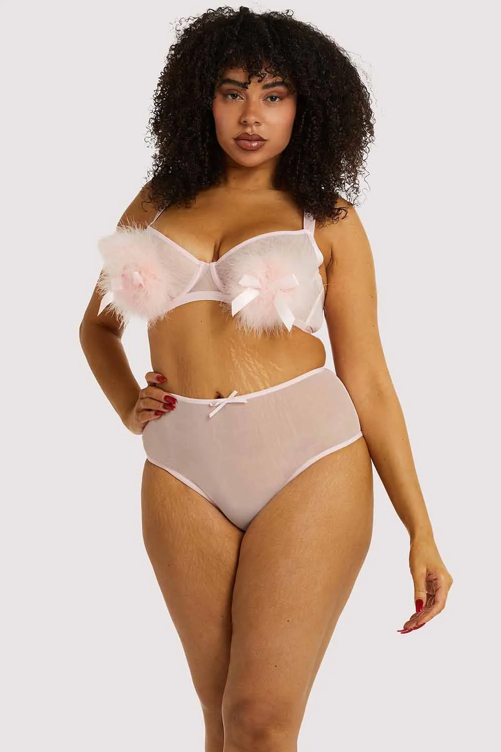 Marina Pink High Waisted Brief