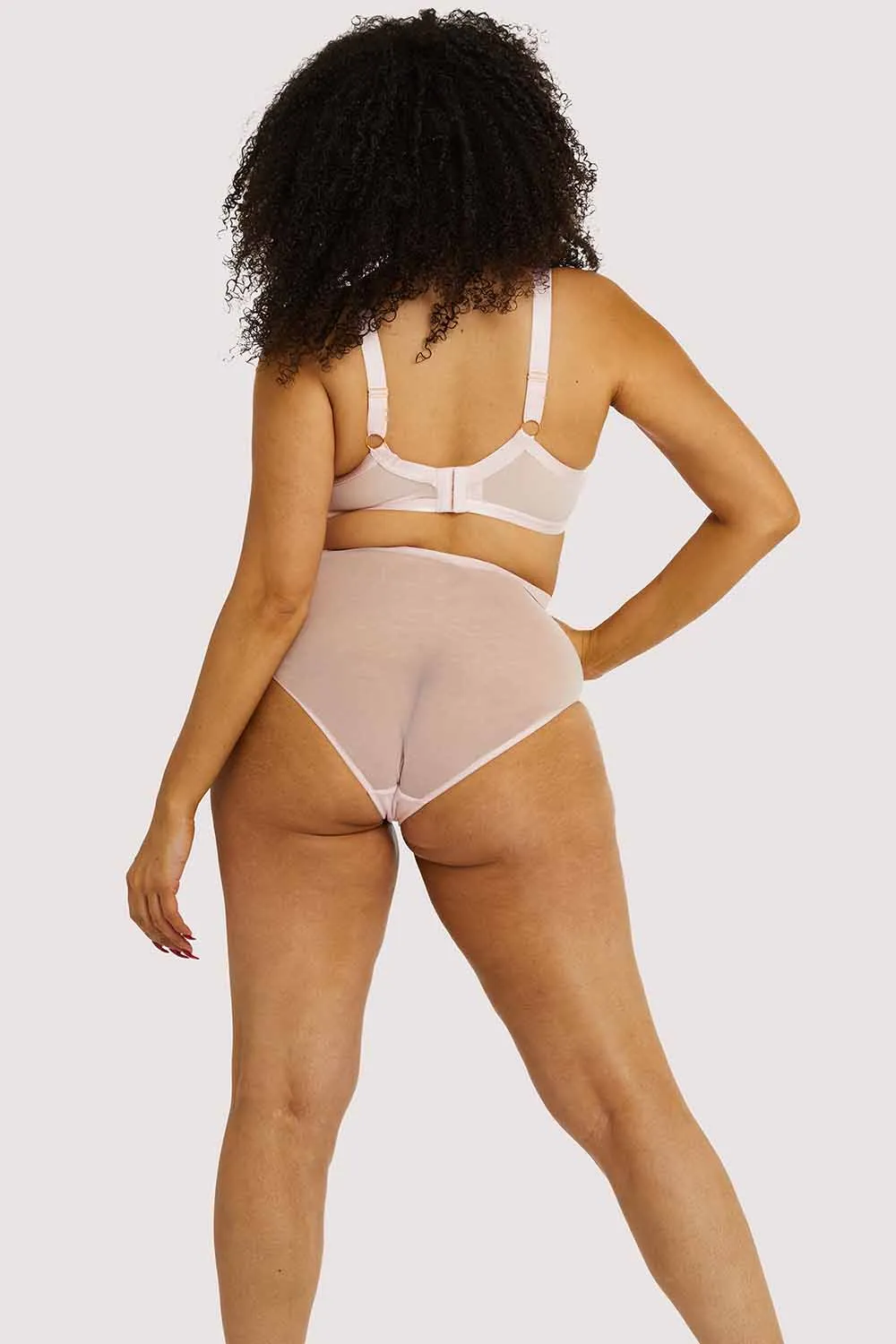 Marina Pink High Waisted Brief