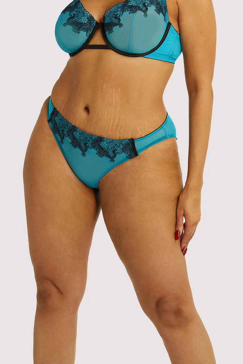 Playful Promises Tiger Blue Hipster Brief