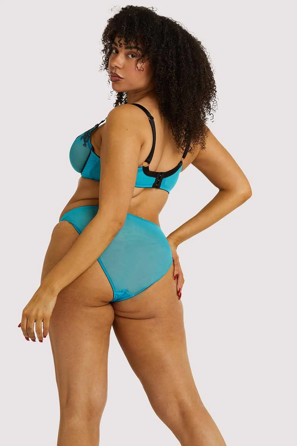 Playful Promises Tiger Blue Hipster Brief