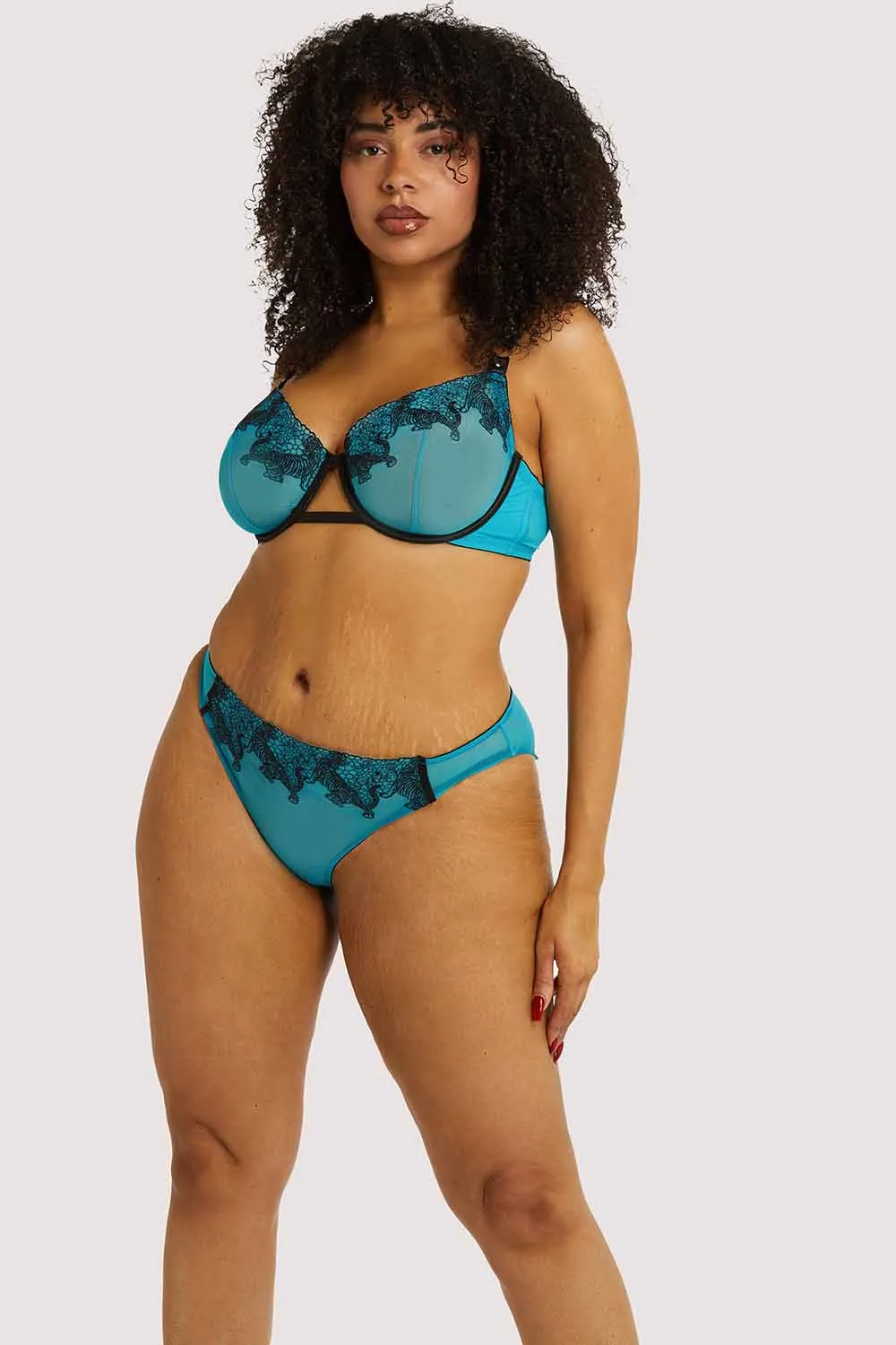 Playful Promises Tiger Blue Hipster Brief