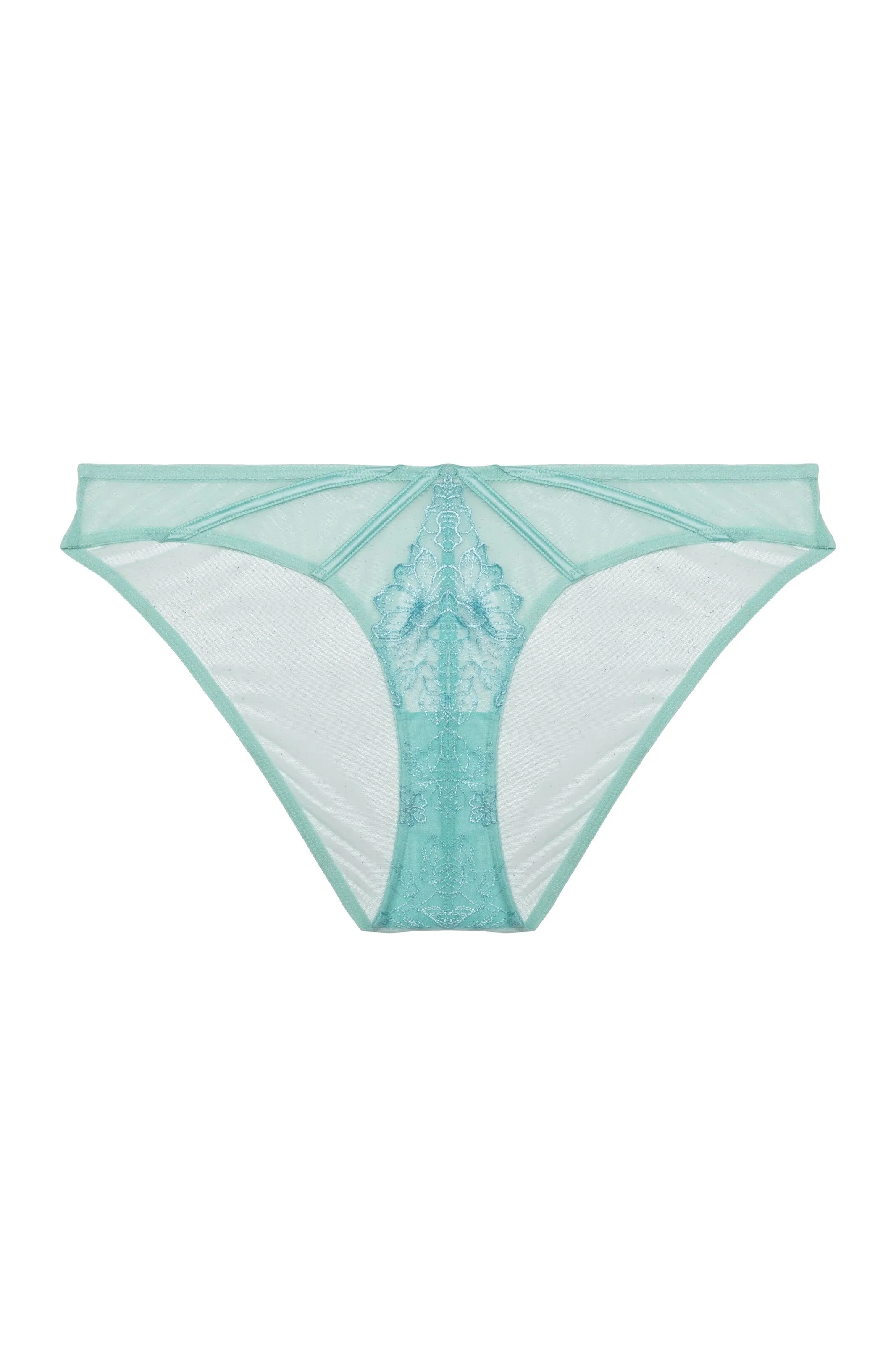 Valerie Aqua Embroidery & Mesh Brief