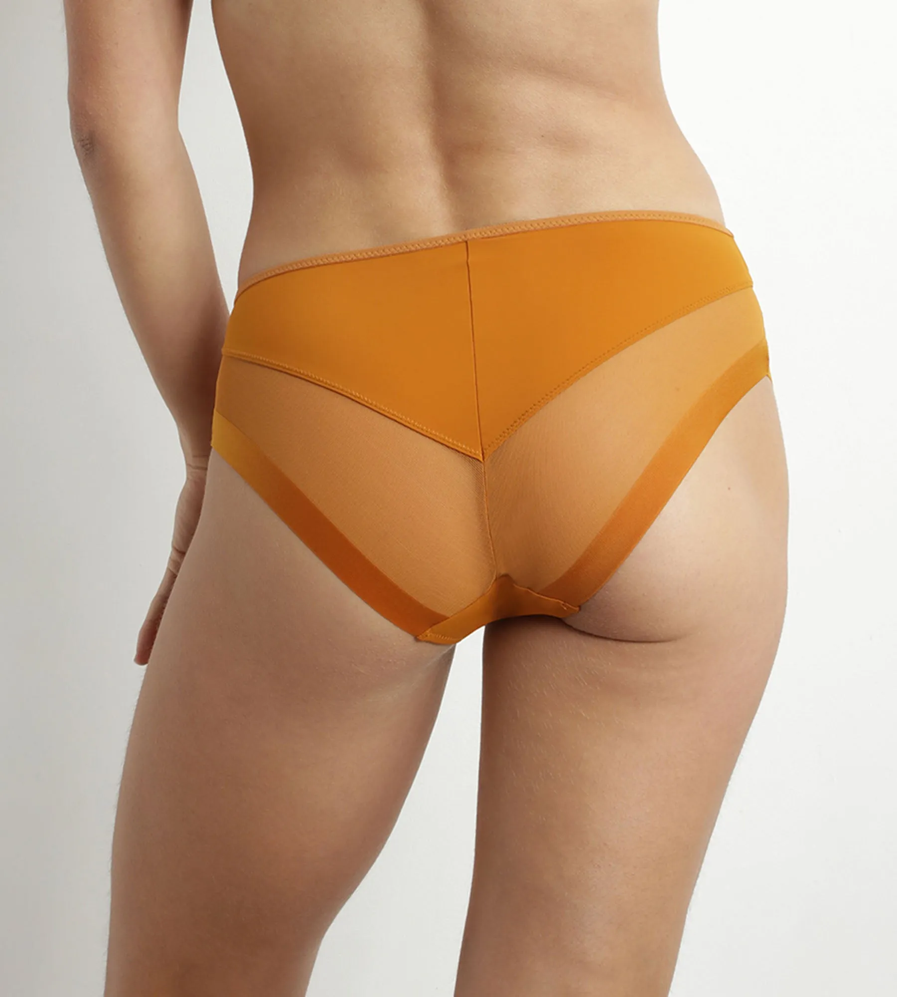 Women's briefs in microfiber and tulle Mandarine Dim Generous